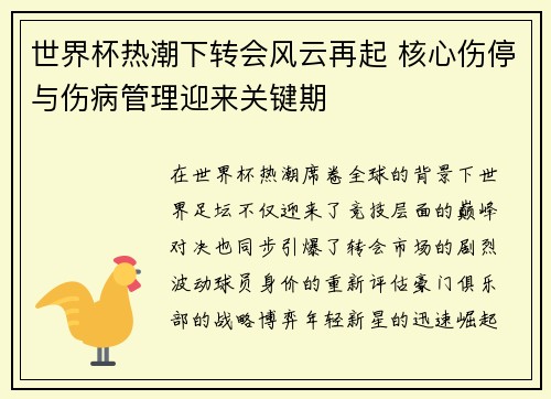 世界杯热潮下转会风云再起 核心伤停与伤病管理迎来关键期