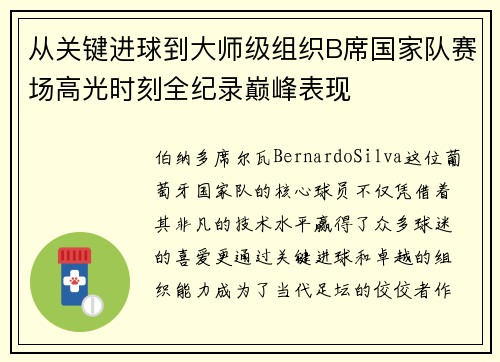 从关键进球到大师级组织B席国家队赛场高光时刻全纪录巅峰表现 从关键进球到大师级组织B席国家队赛场高光时刻全纪录巅峰表现